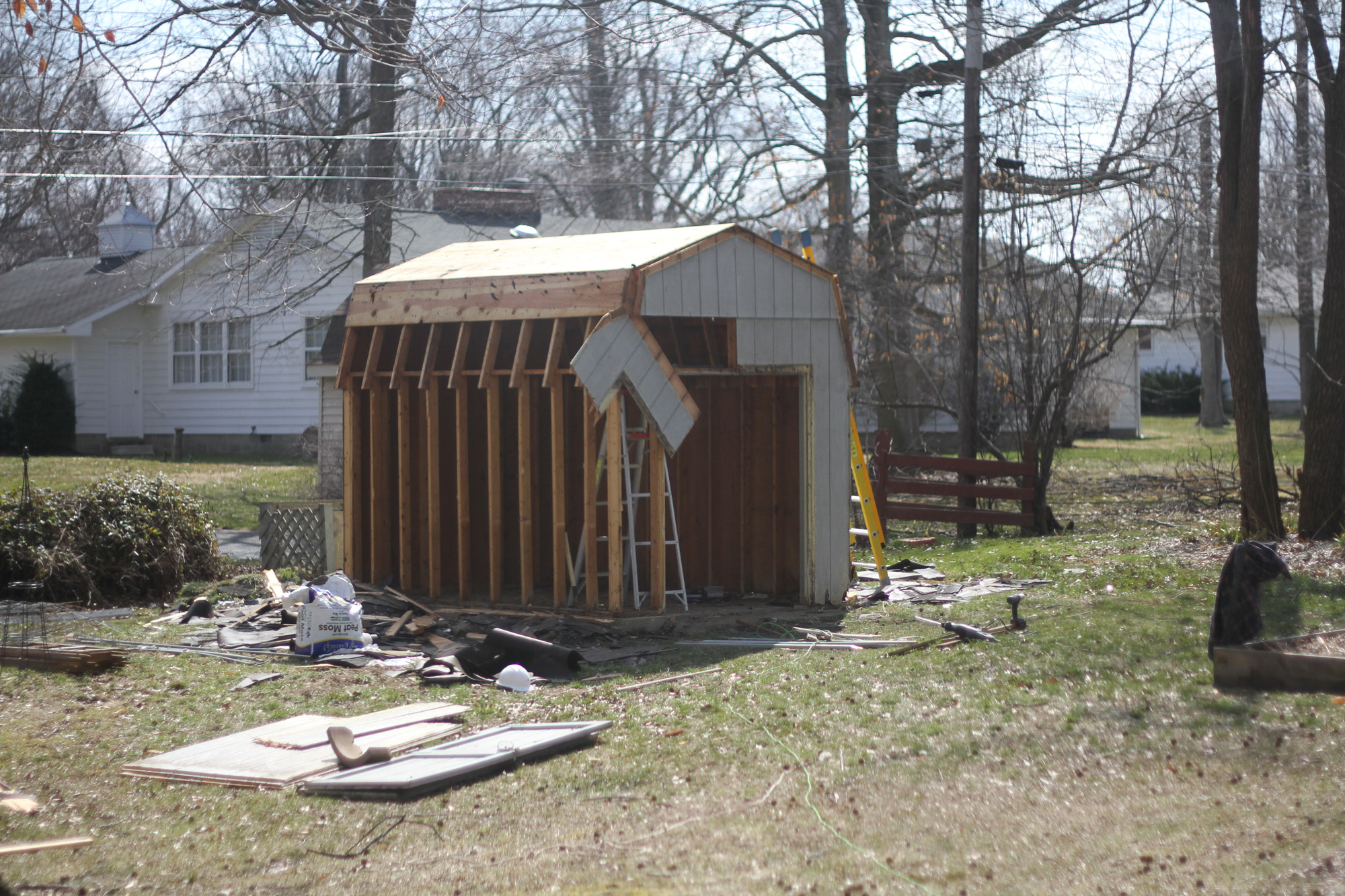 Shed (12).jpg