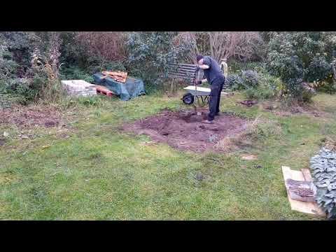 Shed 2 - deconstruction part 2