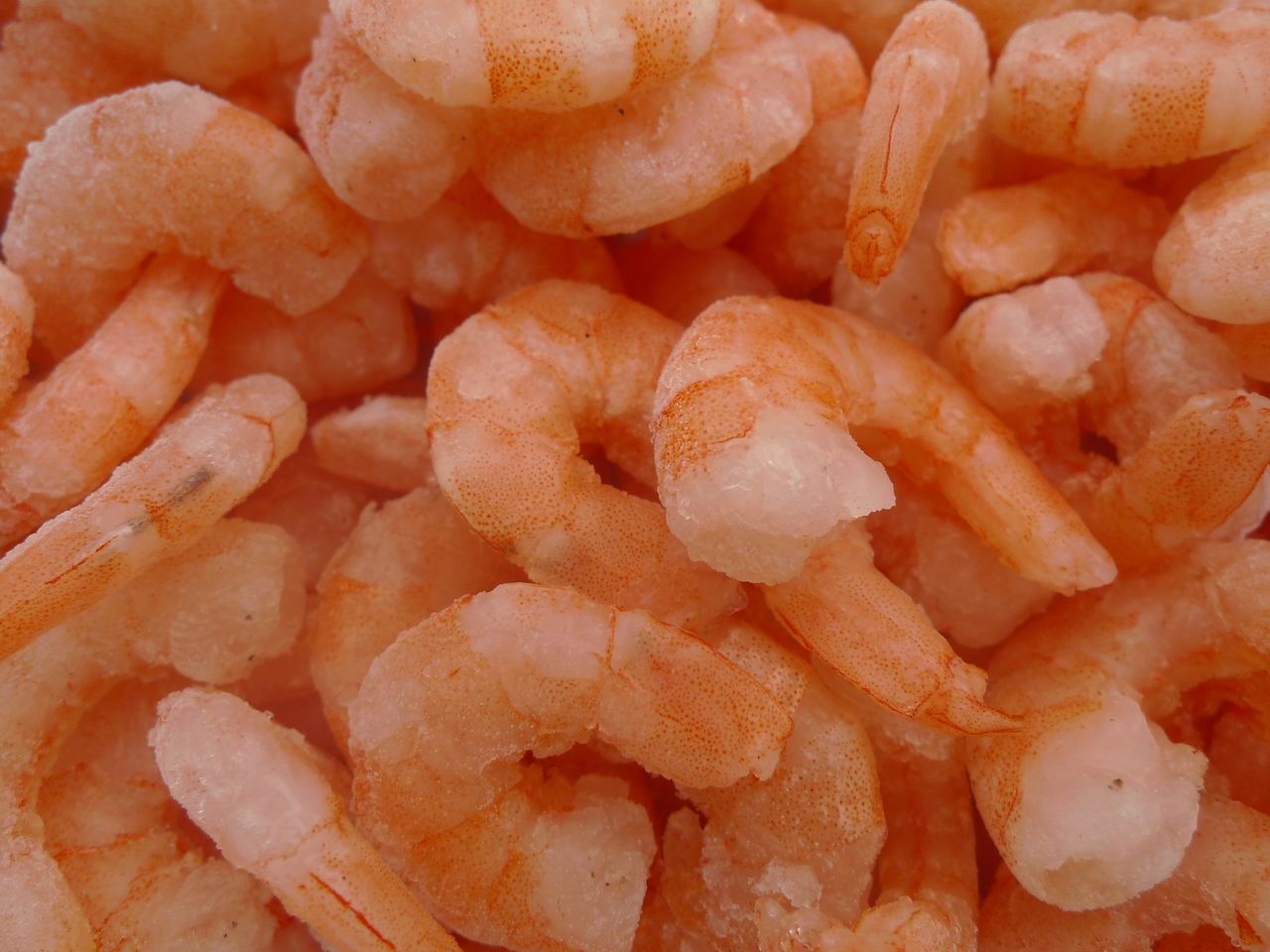 Shelled-Fresh-Shrimps.jpg