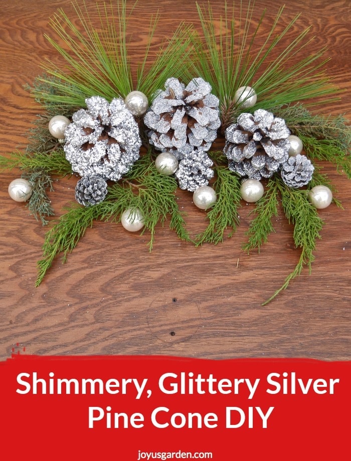 Shimmery-Glittery-Silver-Pine-Cone-DIY_new.jpg