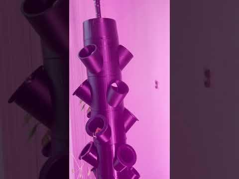 Showing off hydroponic tower system with water distribution system