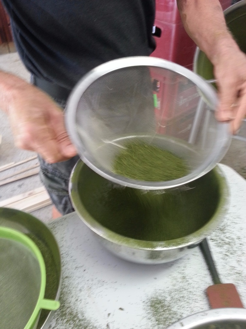 Sifting moringa powder.jpg