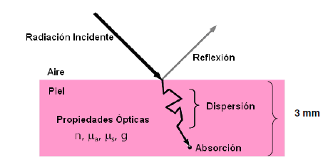 Sin t&iacute;tulox.png