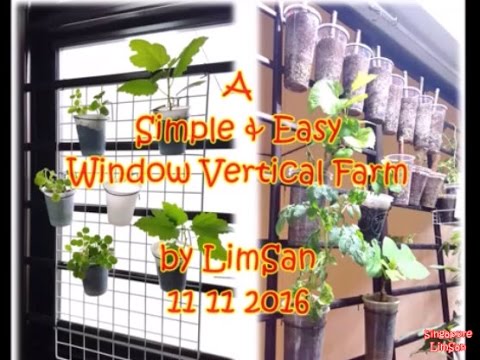 Singapore LimSan : A Simple &amp;amp; Easy Window Vertical Farm