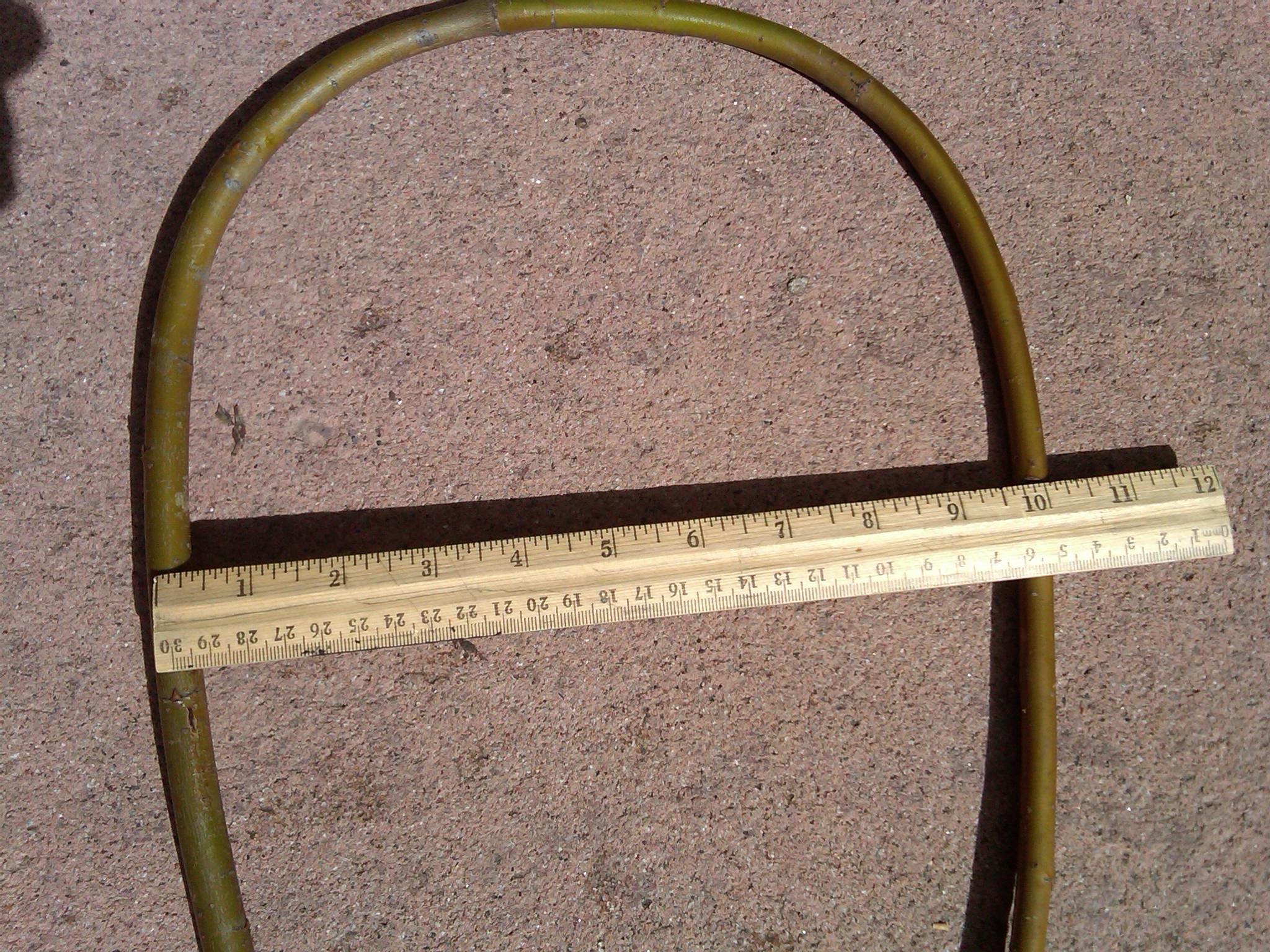 Sized ring (ruler).jpg