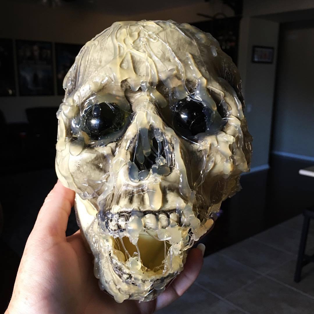 Skull with Glue.JPG