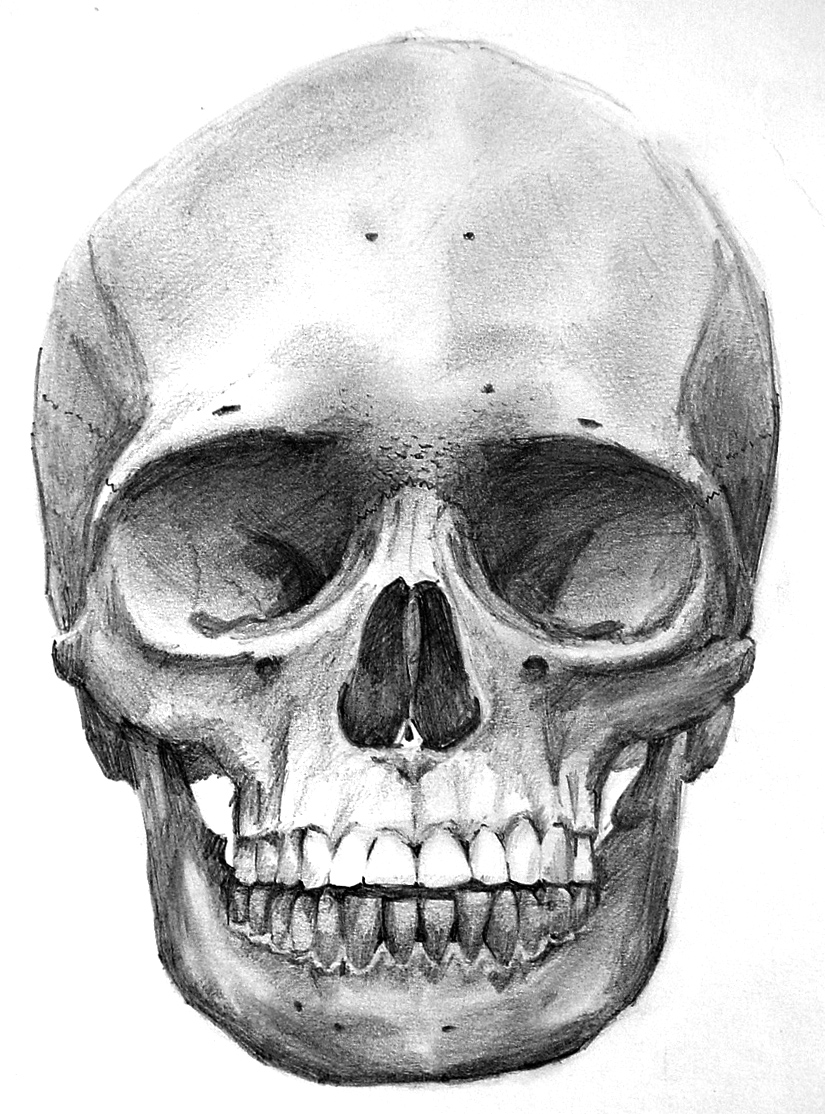 Skull_front_by_AlexandrosIII.jpg