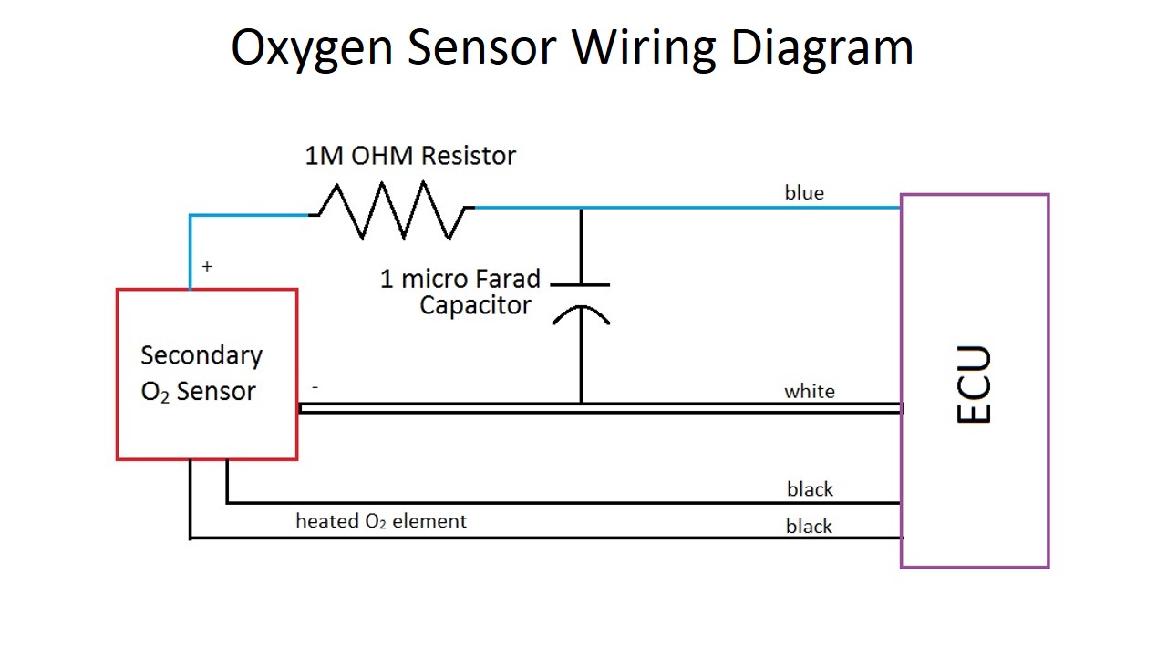 Slide7.JPG