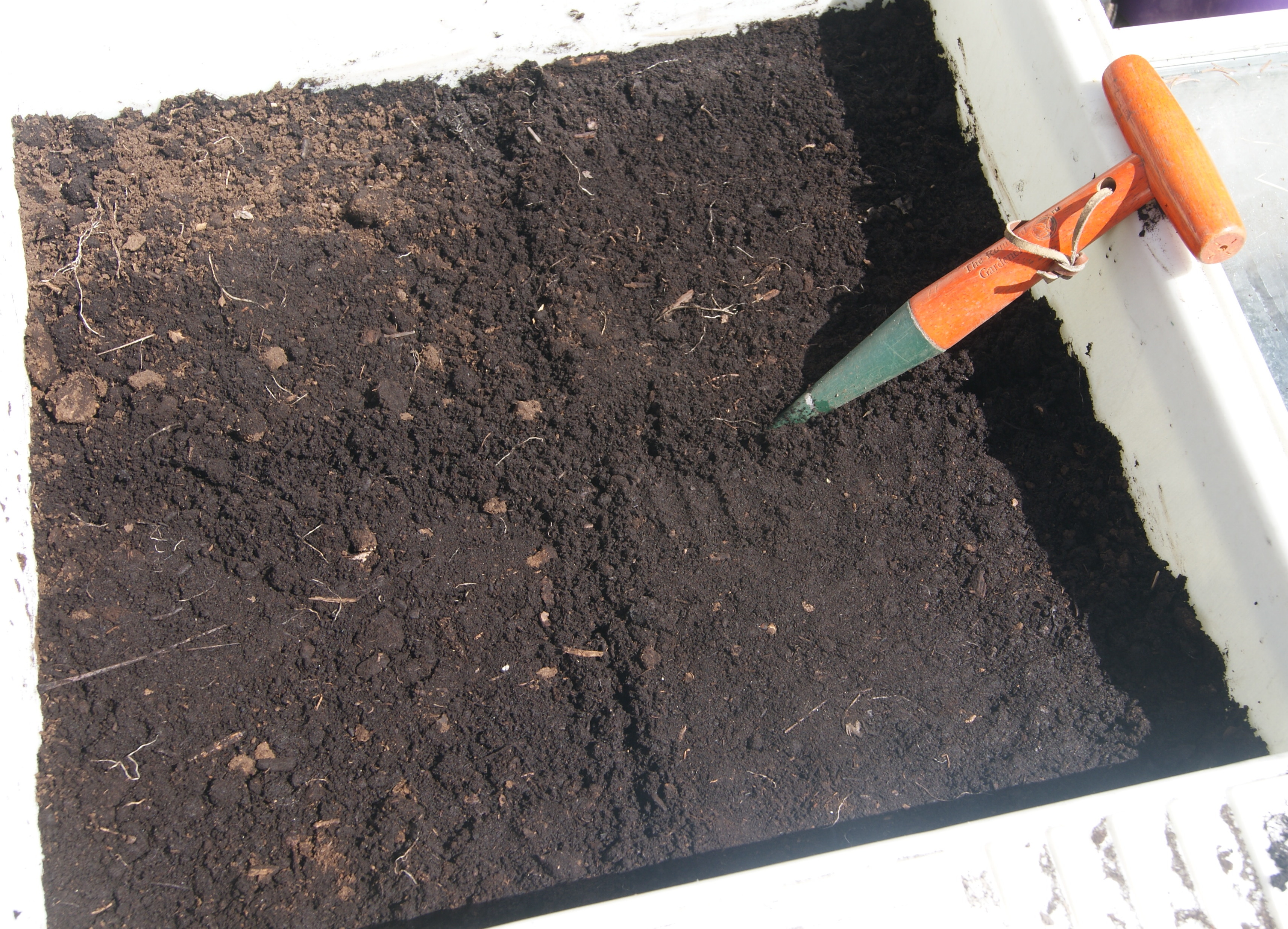 Small Seed Planting-004.JPG