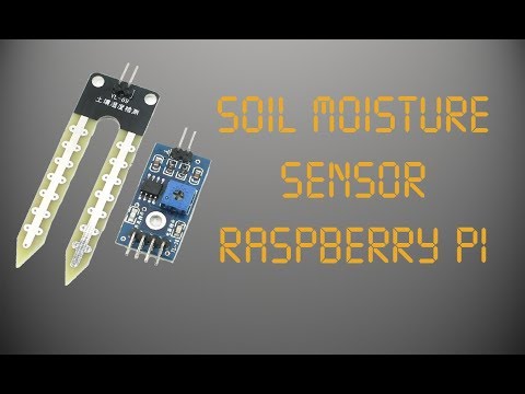 Soil Moisture Sensor (Raspberry Pi)