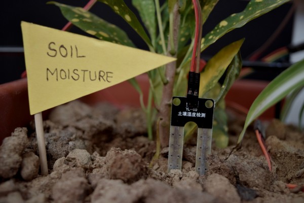 Soil MoistureSensor.jpg