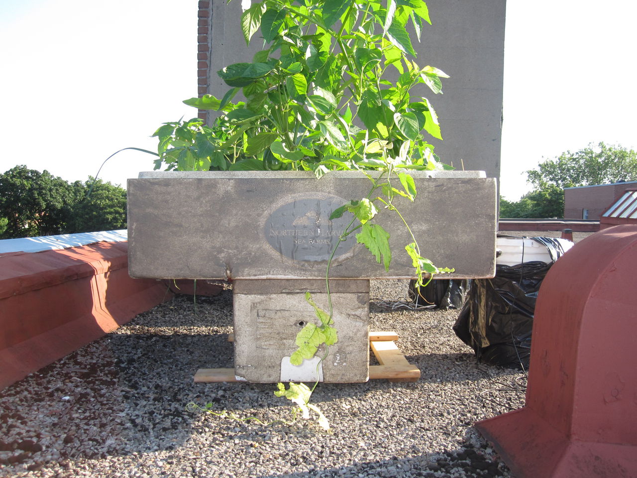 SolarHydro - Stacked Boxes 2.jpg