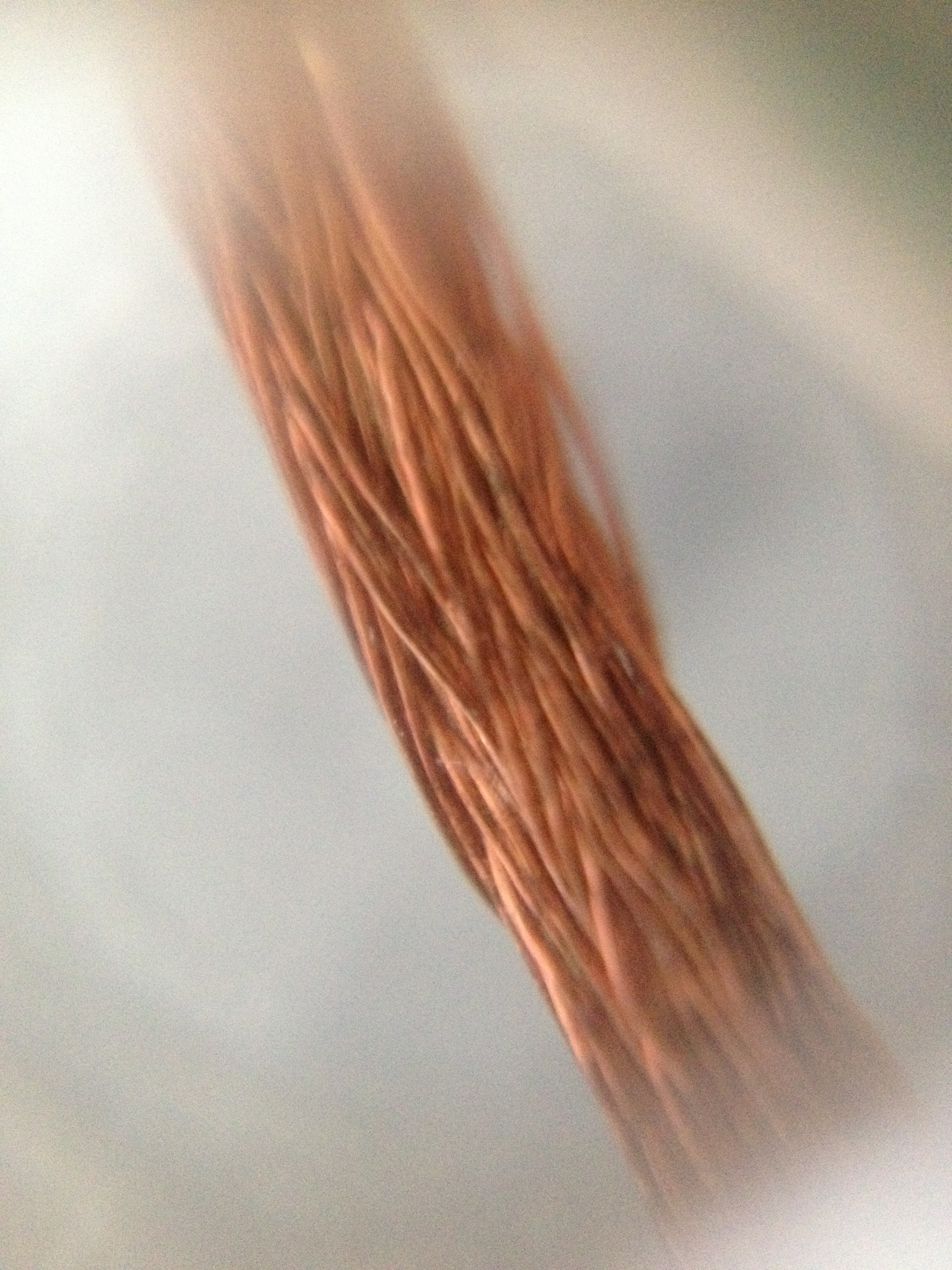 Solder Wick Macro.JPG