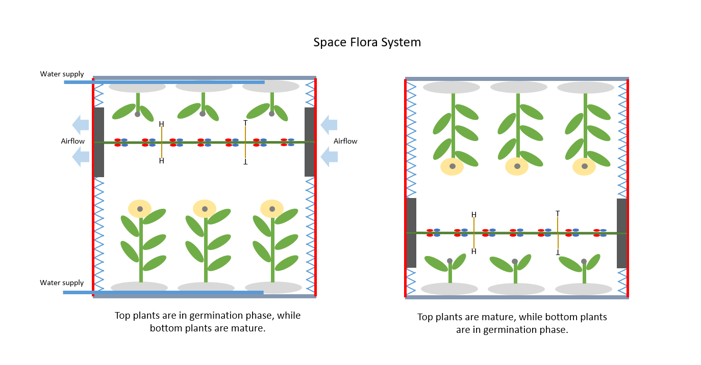 Space Flora System 1.PNG