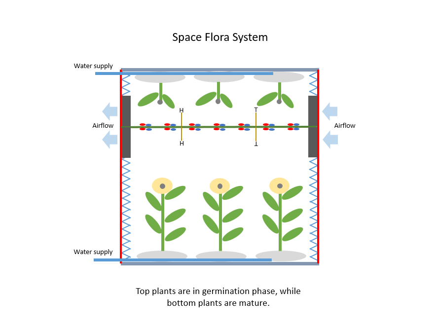 Space Flora System 3.PNG