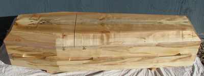 Spalted_Maple_Coffin1.JPG