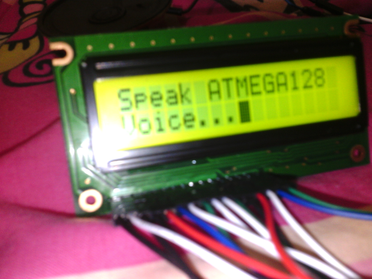 Speaking ATMEGA128.jpg