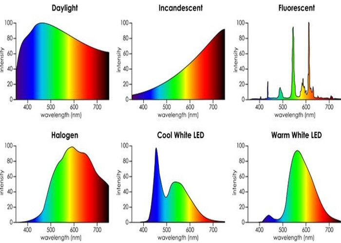 Spectrum other.jpg