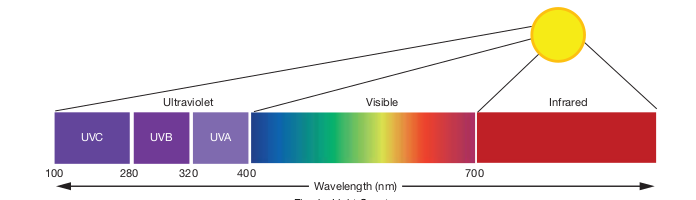 Spectrum with UV.png