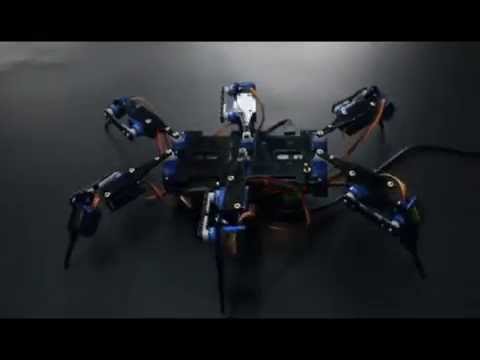 Spider Robot dacing with St. Louis Blues