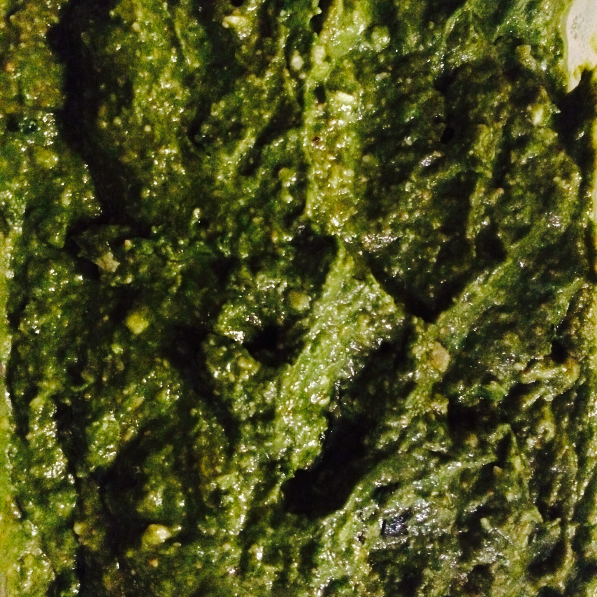 Spinach Dip Closeup.jpg