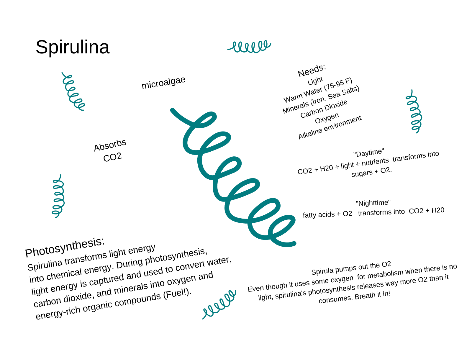 Spirulina-intro1600x1200.png