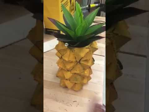 SpongeBob pineapple