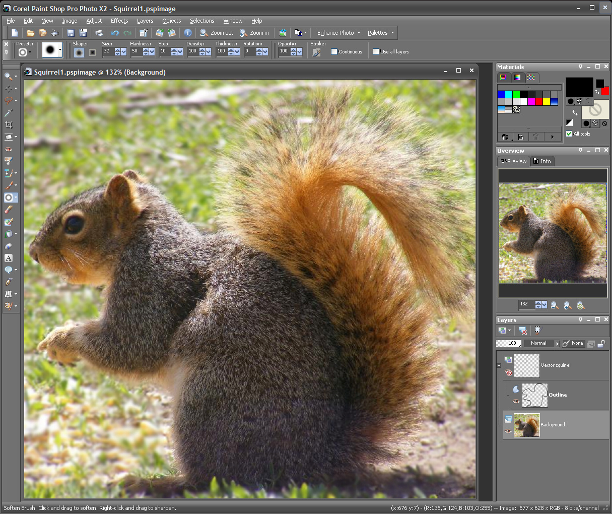 Squirrel PSP 01.jpg