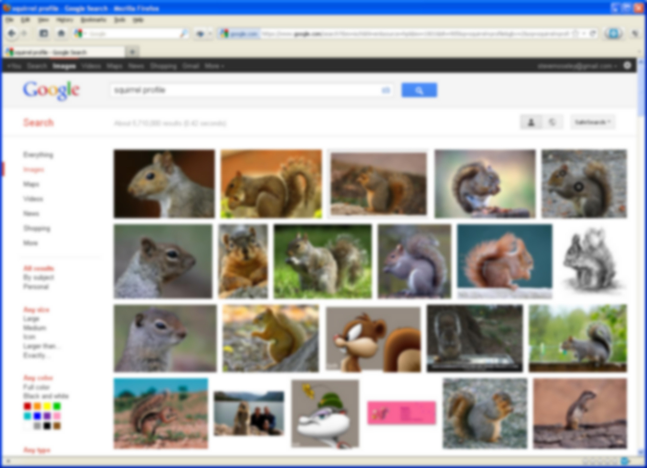 SquirrelSearch3.jpg