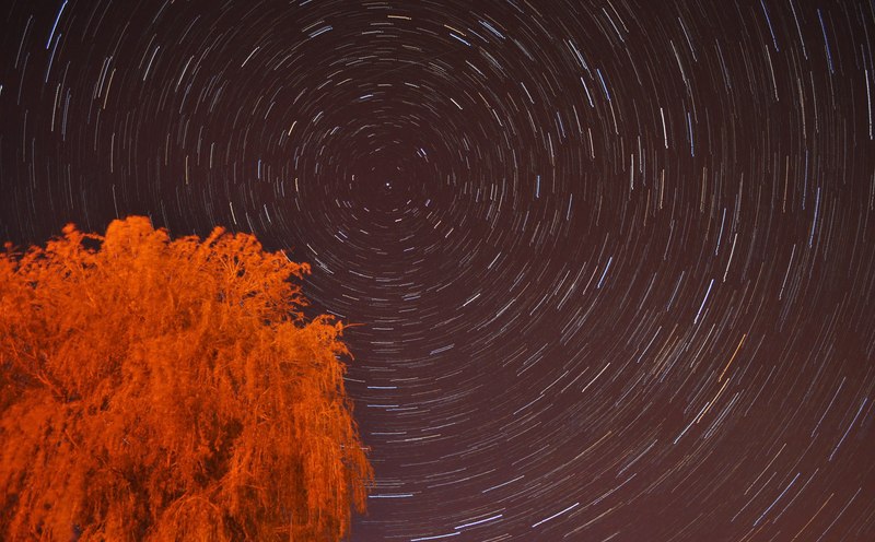 Star_Trail_above_Beccles_-_geograph.org.uk_-_1855505.jpg