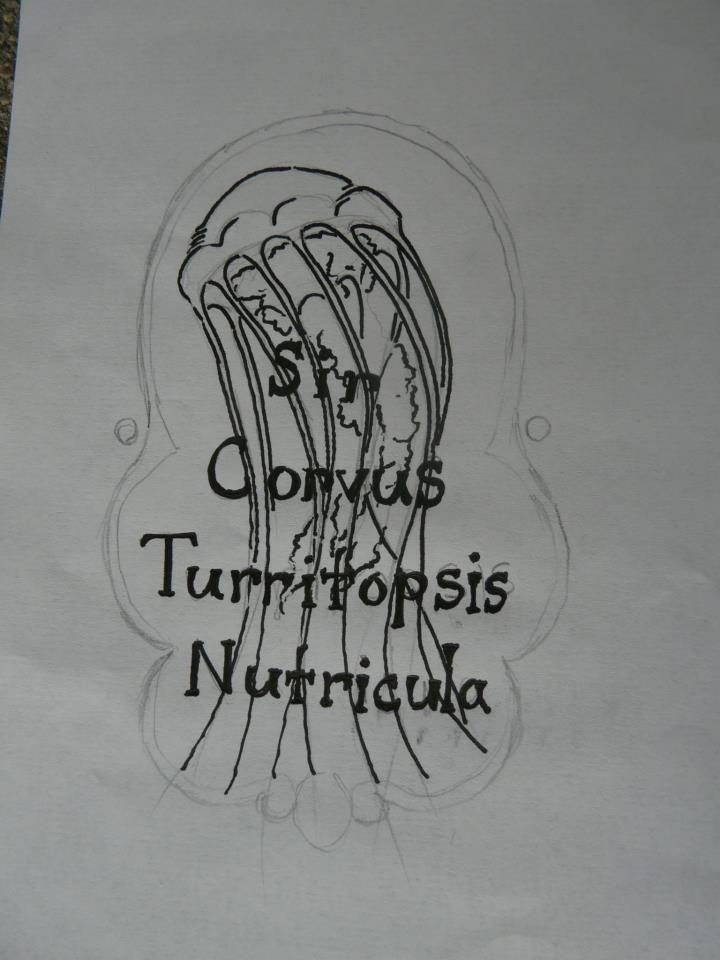 Steampunk Jellyfish label.jpg