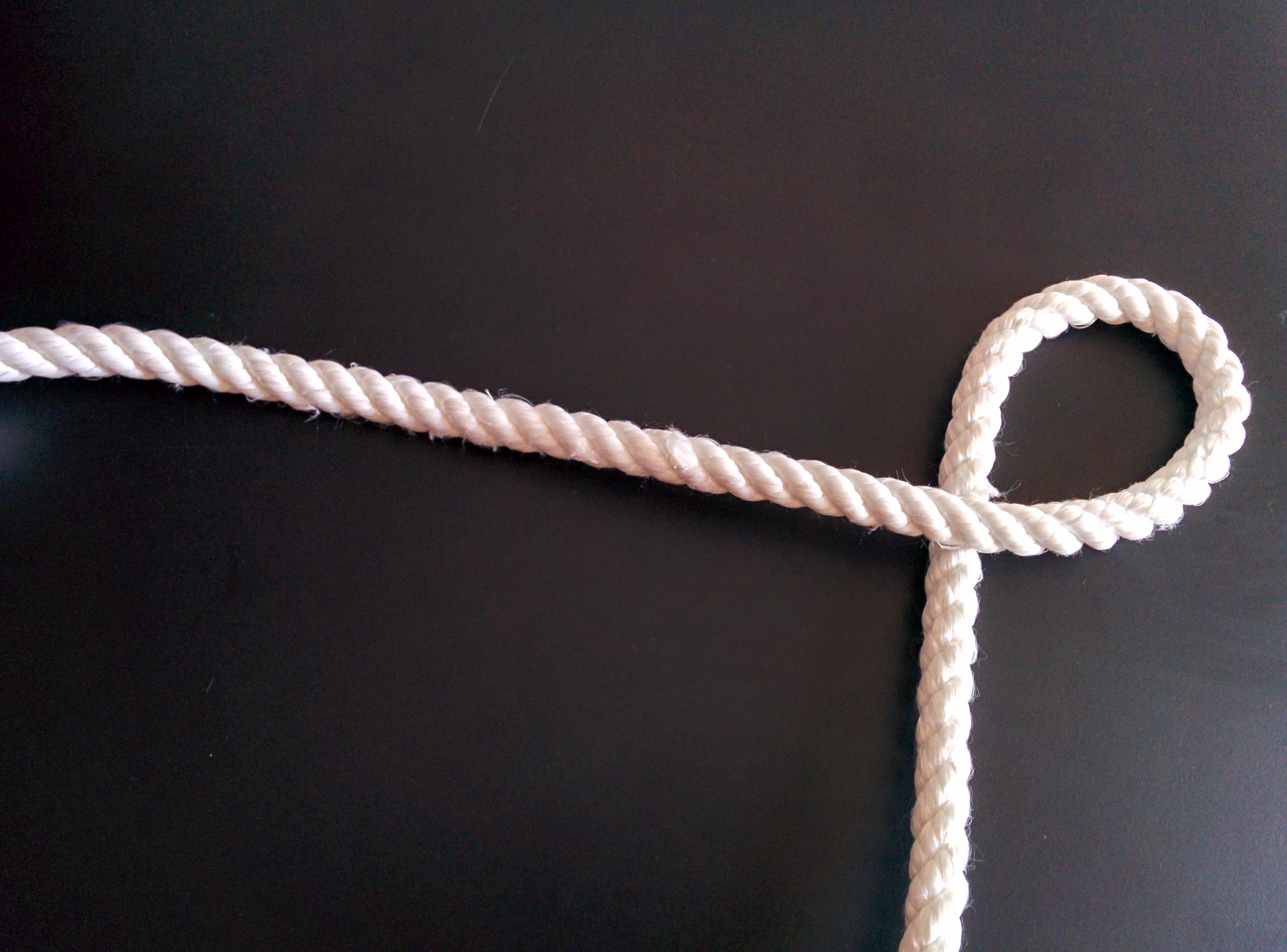 Step 1 (1).jpg