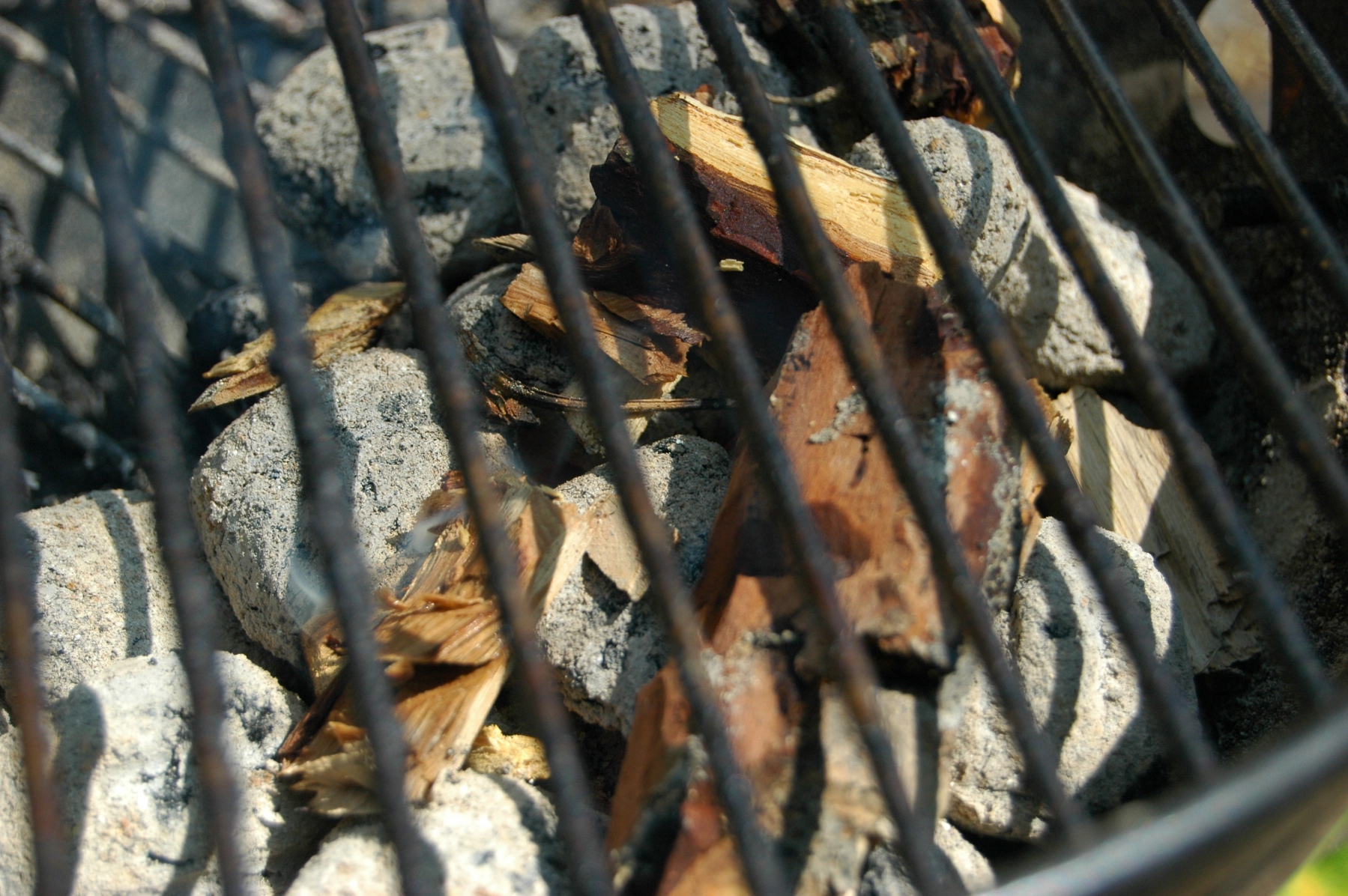 Step 3 - Chips on coals.jpg