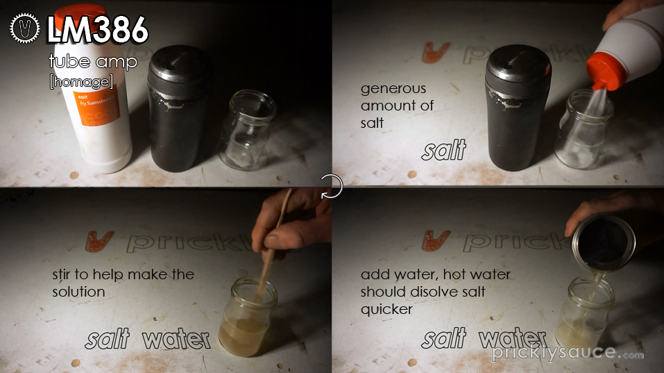 Step 9 salt solution.jpg