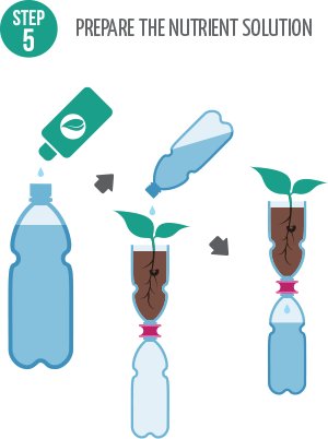 Step-5-Prepare-Nutrient-Solution-3Dponics.jpg