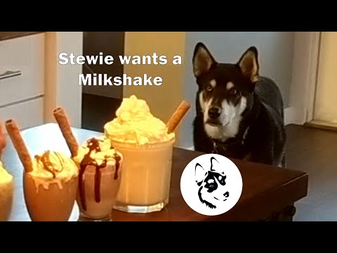 Stewie Wants A Milkshake