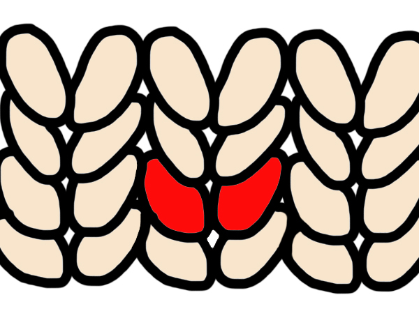 Stockinette diagram 5.jpg