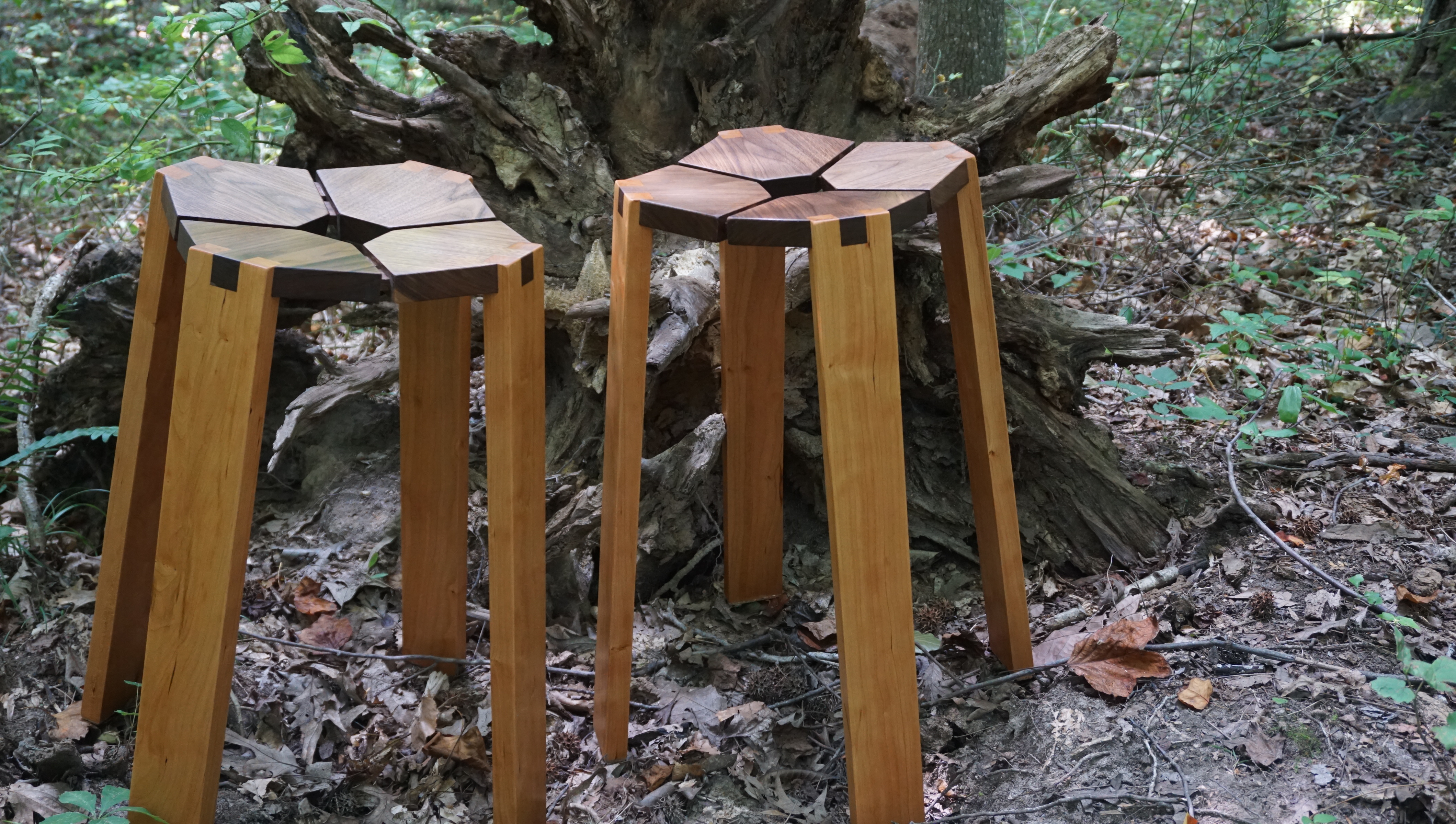 Stools in forest.JPG