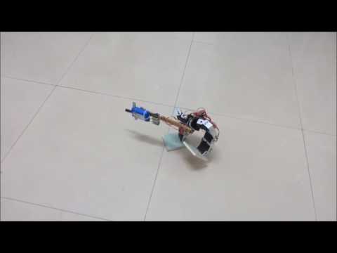 StriderBot Robot Moves