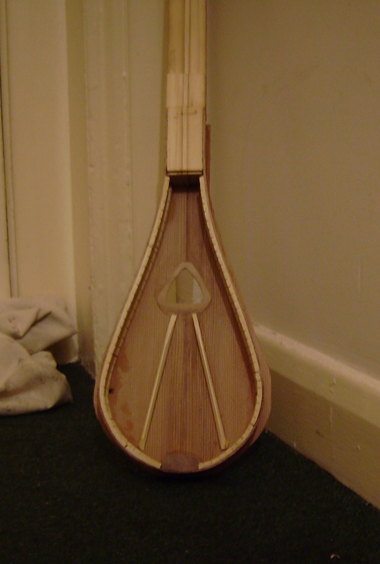 Strum Stick 04 web.JPG