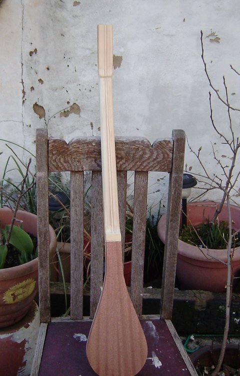 Strum Stick 12 web.JPG