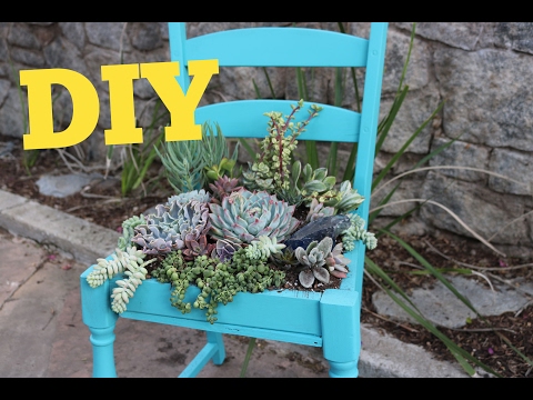 Succulent Chair | Succulent Planter DIY | DIY with Caitlin