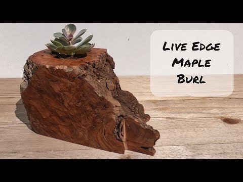 Succulent Planter - Easy Woodworking Project