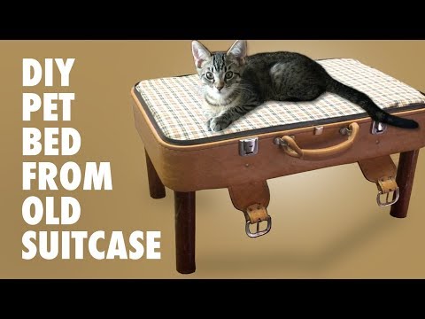 Suitcase pet bed - How to make a bed from a suitcase for your cat or dog - DIY