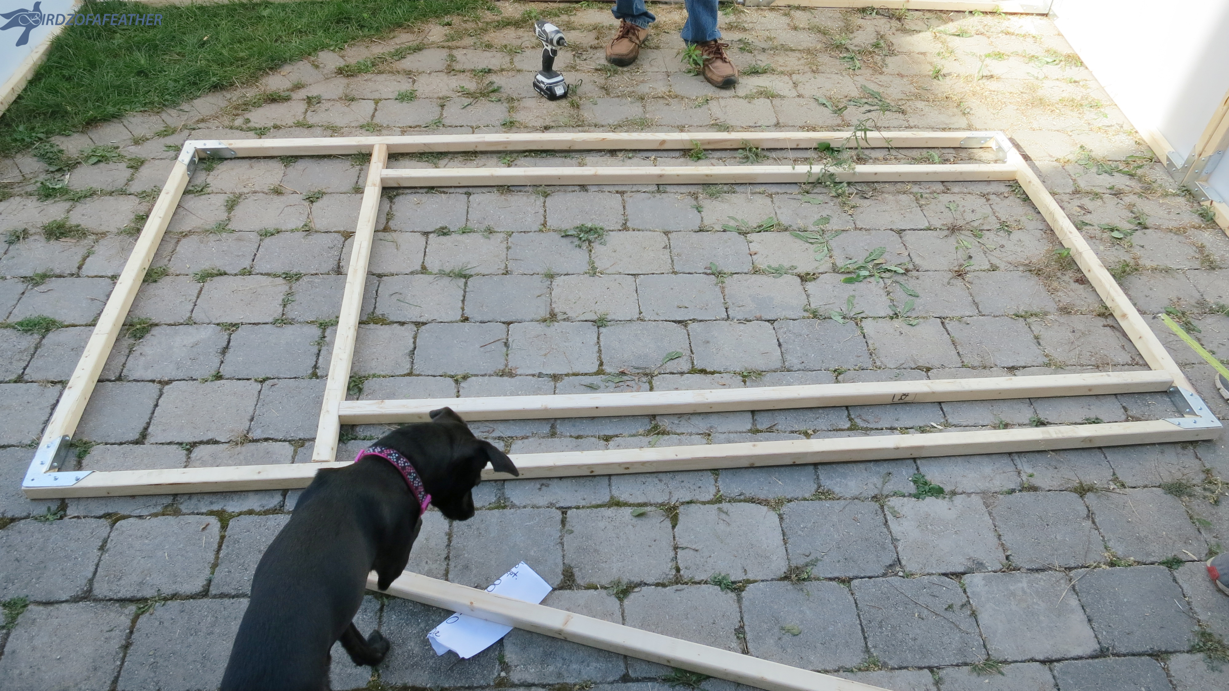 Sukkah Build 214_BOF.jpg