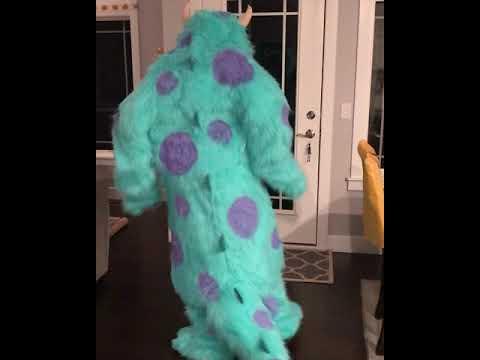 Sully Costume- Homemade- Monsters, Inc.