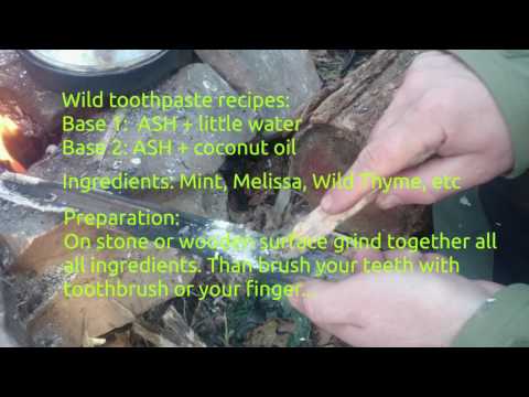 Survival tips &amp;amp; tricks: Wild Toothpaste