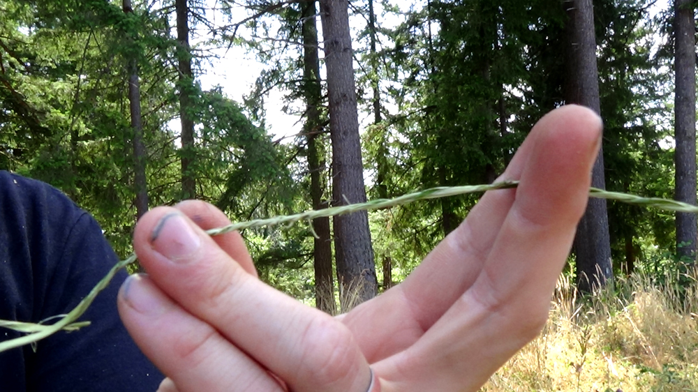 Survival_Atlatl_Stone_Tools_Wild_Cordage_Cane_Dart (30).jpg