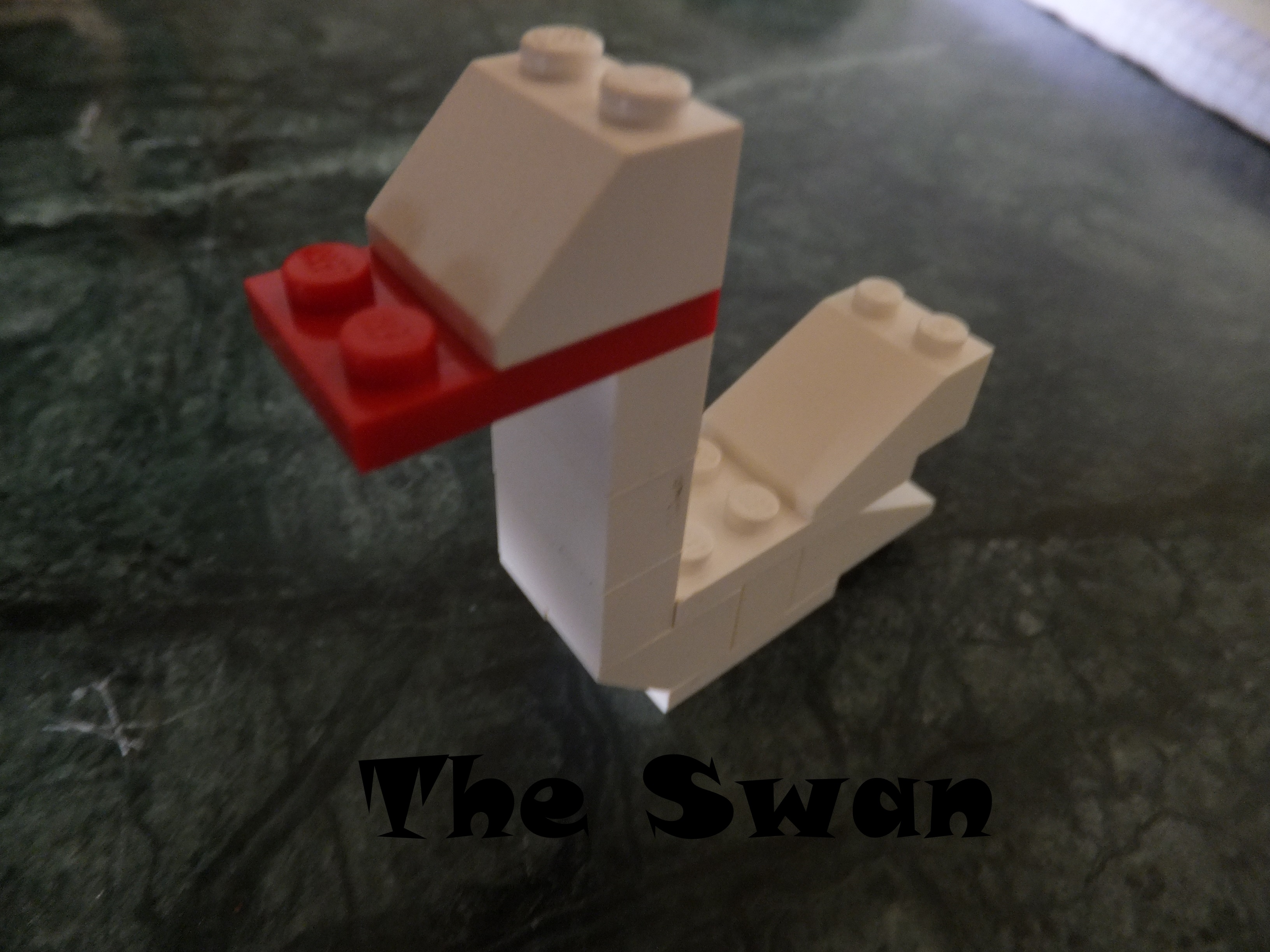 Swan Coverf.JPG