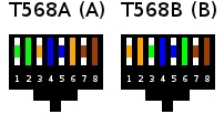 T568A and B.jpg